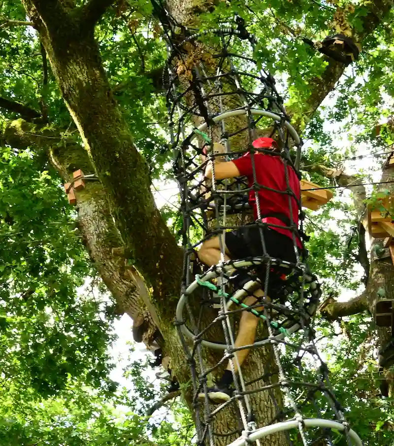 Personne grimpant dans un tunnel en filet vertical sur un parcours sportif.